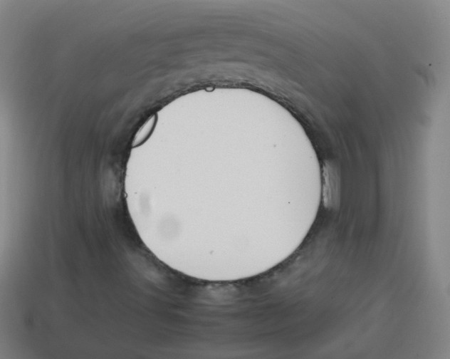 X0000113871491200910221323