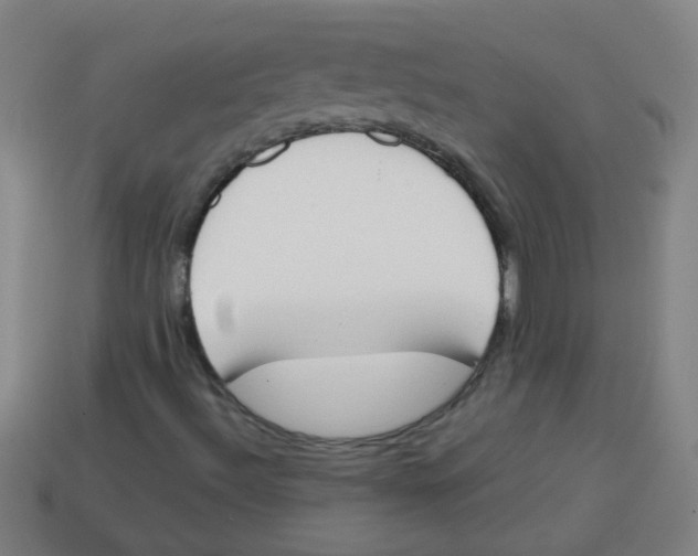 X0000113871492200910221323