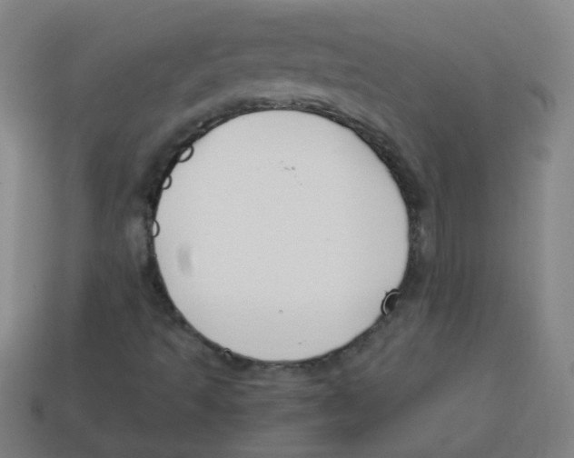 X0000113871493200910221323