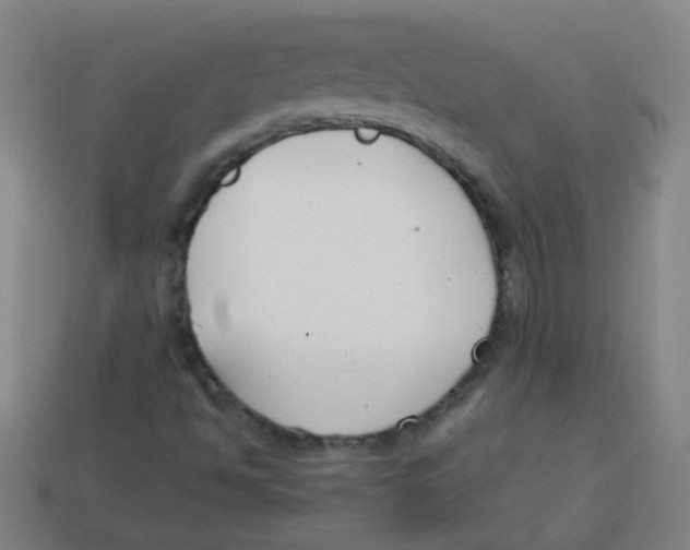 X0000113871494200910221323