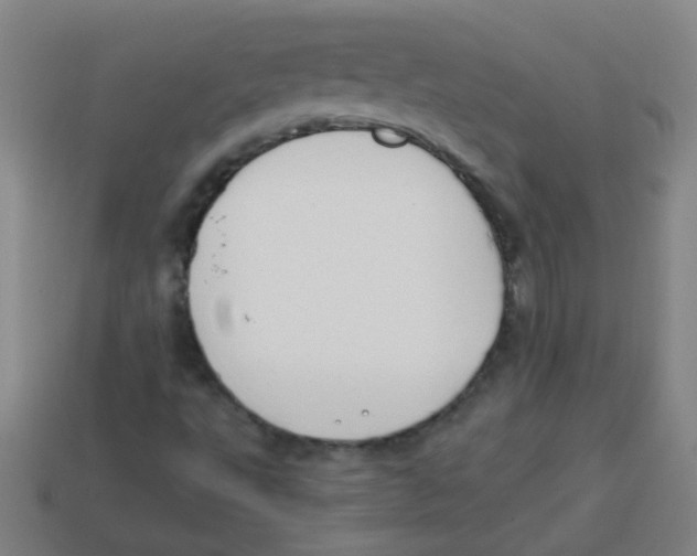 X0000113871495200910221323