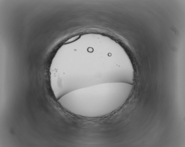 X0000113871496200910221324