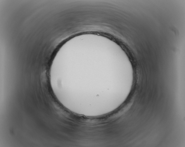 X0000113871497200910221324