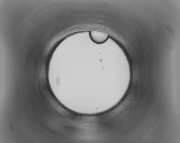 X0000113871498200910221324