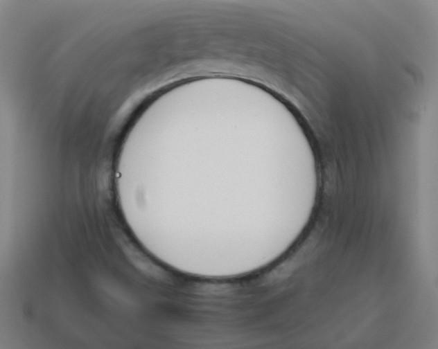 X0000113871499200910221324