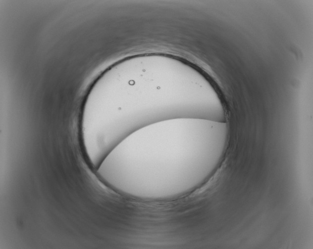 X0000113871500200910221324