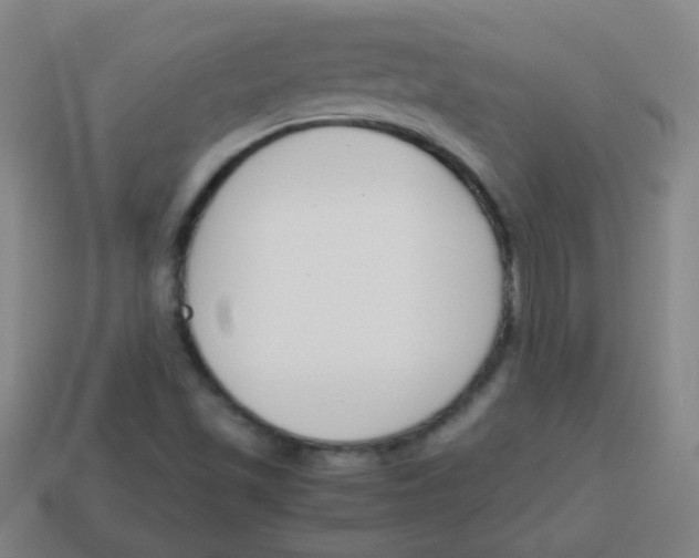 X0000113871501200910221324