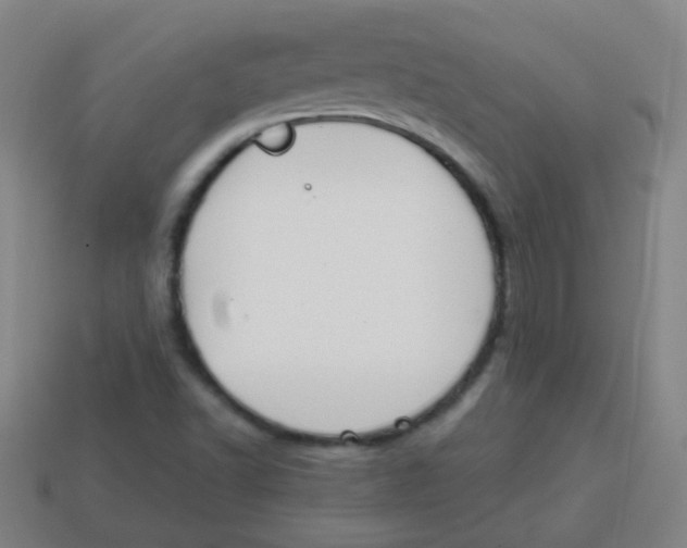 X0000113871502200910221324