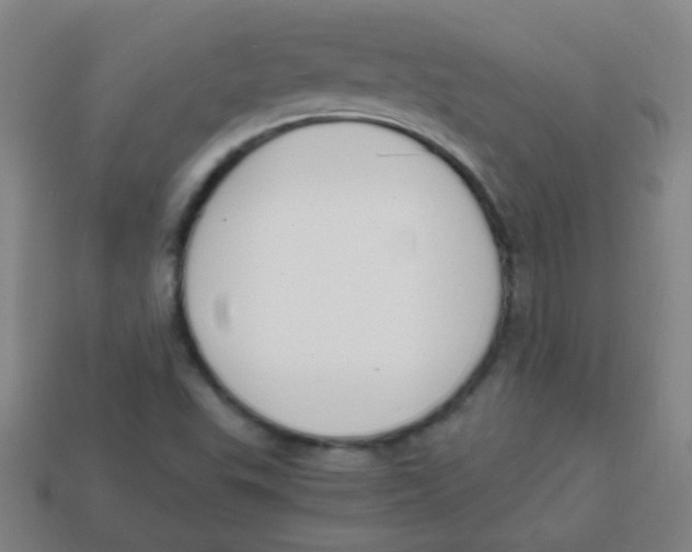 X0000113871503200910221324