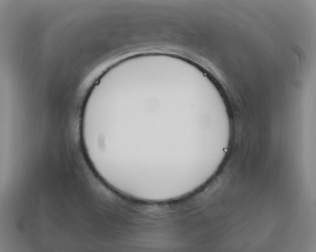 X0000113871504200910221324