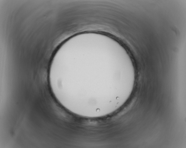 X0000113871505200910221324