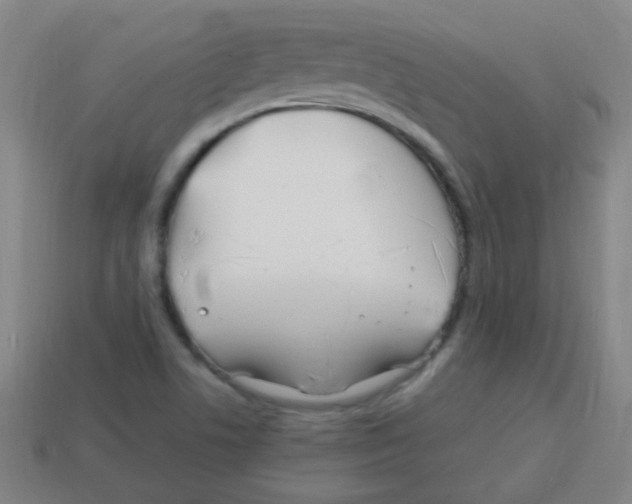 X0000113871506200910221324