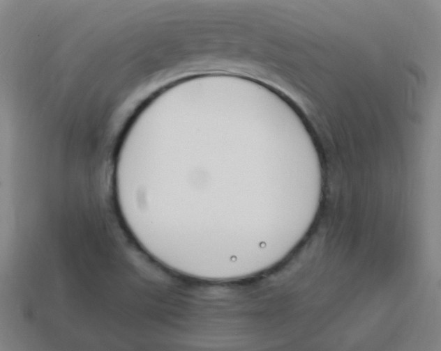 X0000113871507200910221324