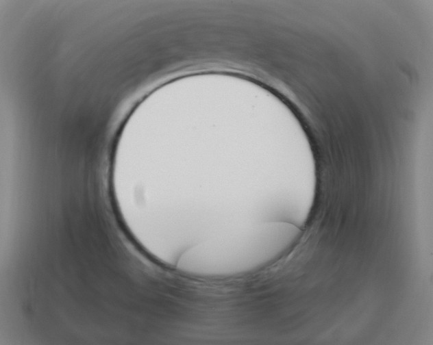 X0000113871508200910221324