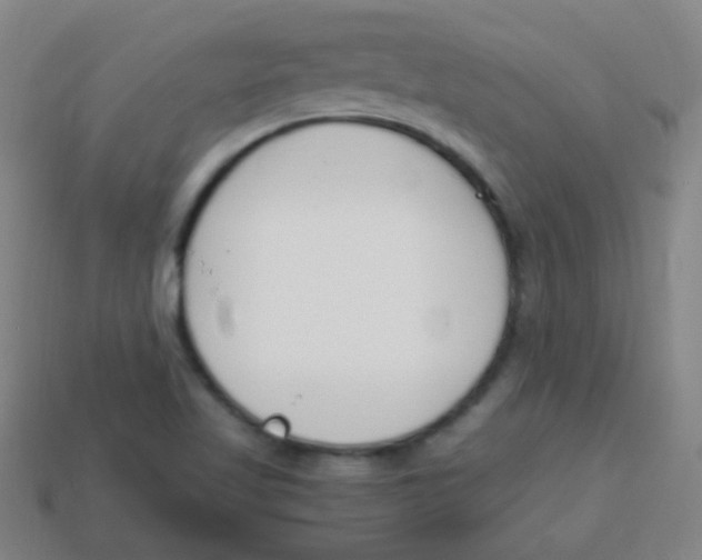 X0000113871509200910221324