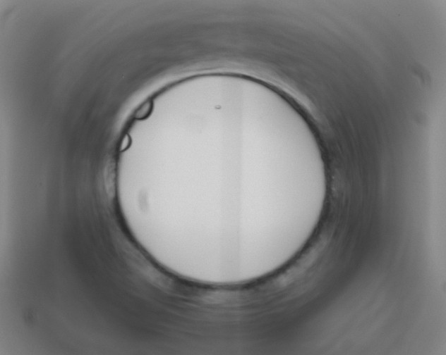 X0000113871510200910221324