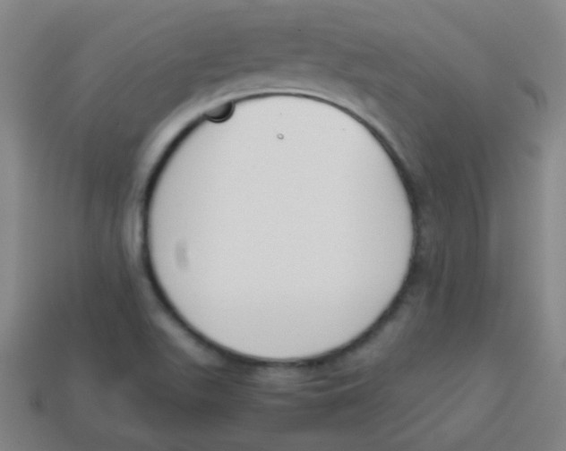 X0000113871511200910221324