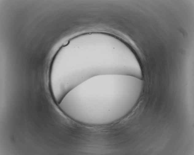 X0000113871512200910221324