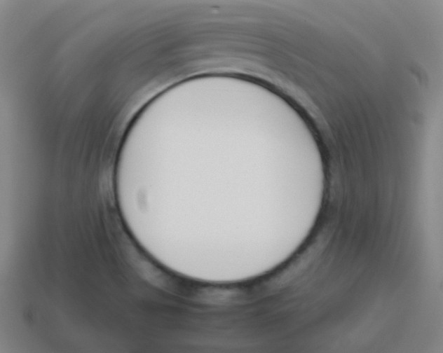 X0000113871513200910221324