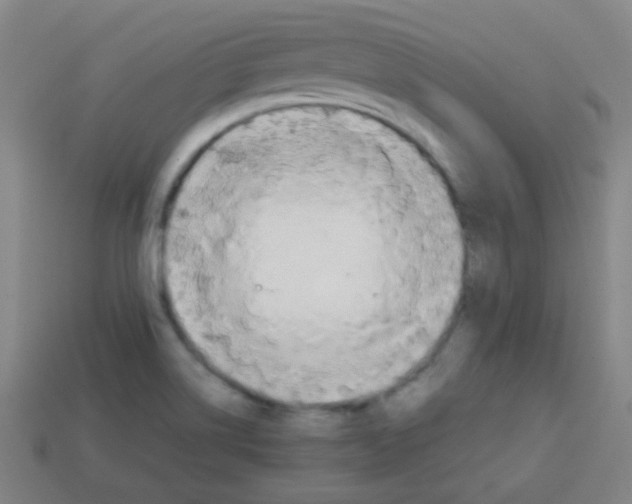 X0000113871514200910221324