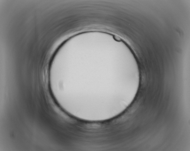 X0000113871515200910221324