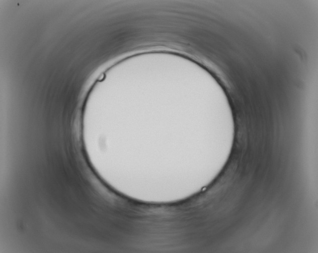 X0000113871516200910221324