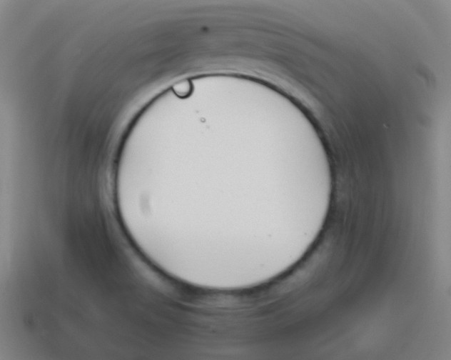 X0000113871517200910221324