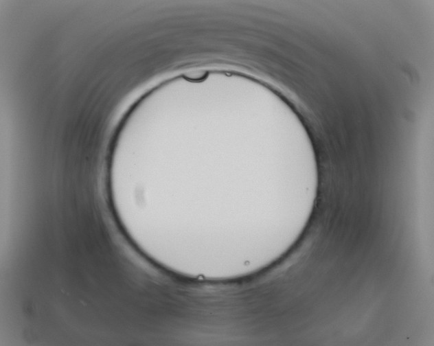 X0000113871518200910221324