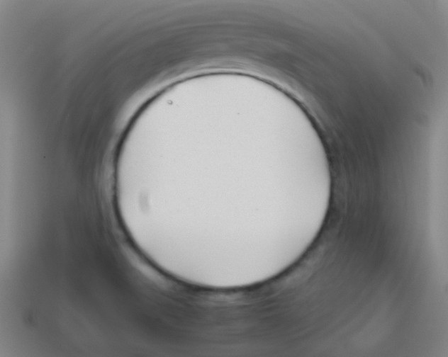 X0000113871519200910221324