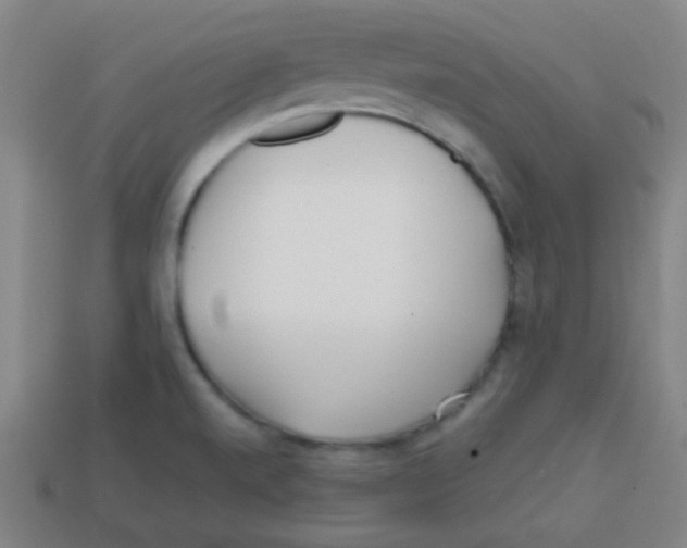 X0000113871520200910221324