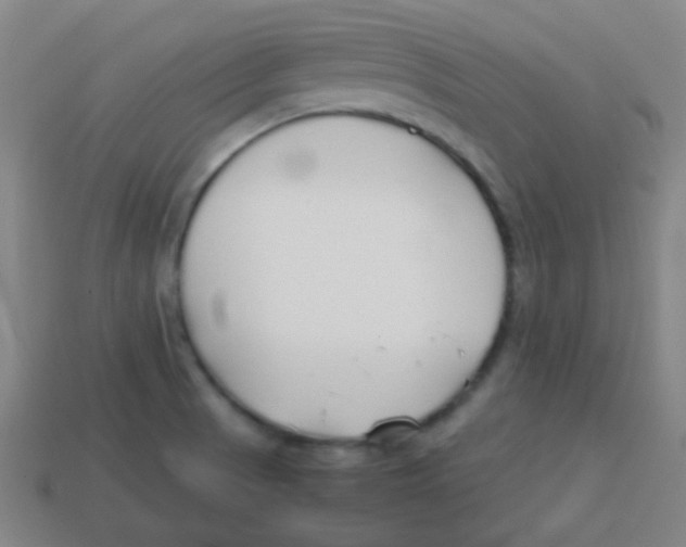 X0000113871521200910221324