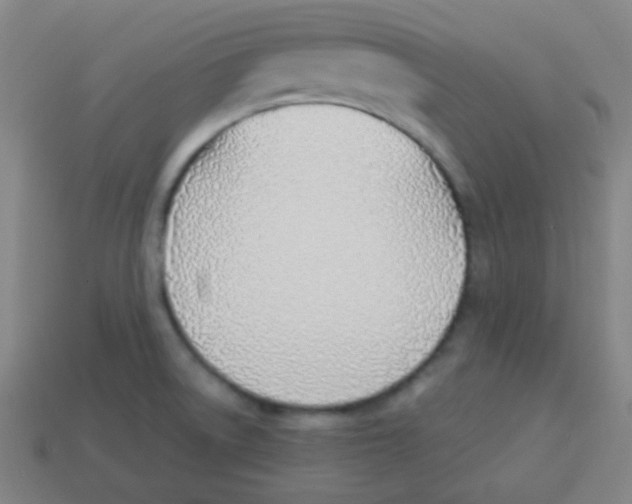 X0000113871522200910221324