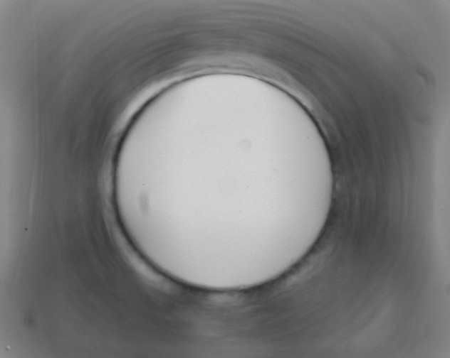 X0000113871523200910221324