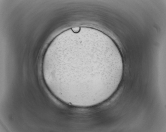 X0000113871525200910221324