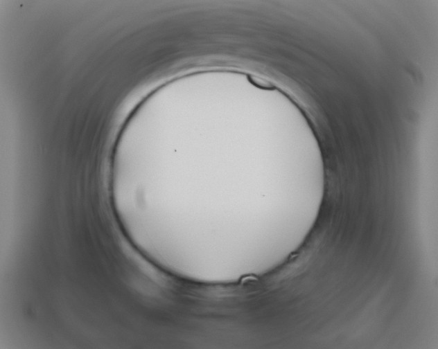 X0000113871527200910221324