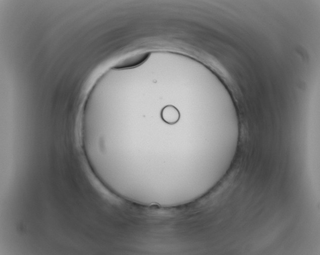 X0000113871528200910221324