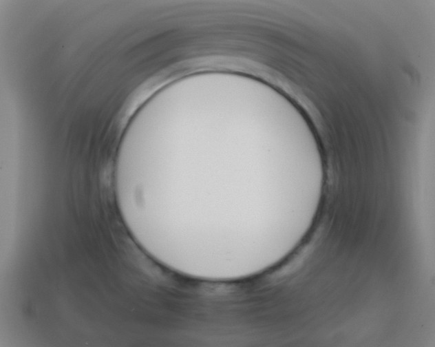 X0000113871529200910221324