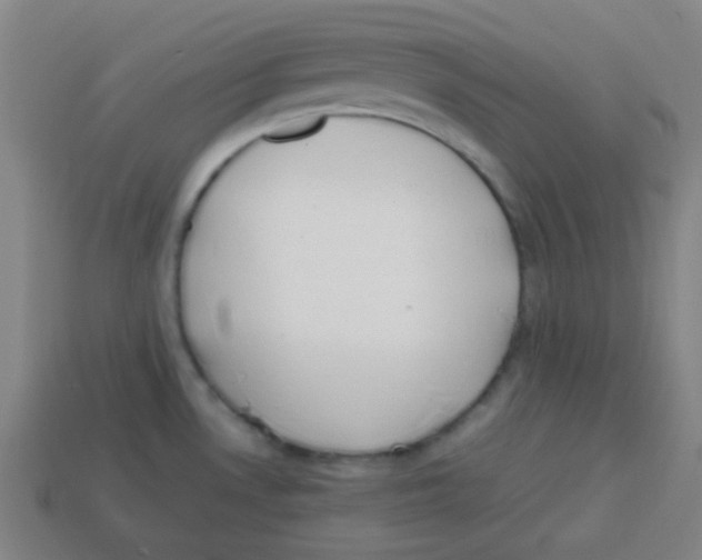 X0000113871530200910221324