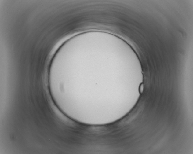 X0000113871531200910221324