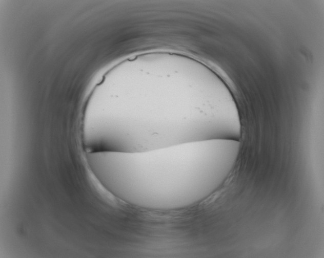 X0000113871532200910221324