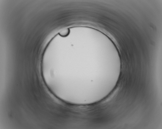 X0000113871533200910221324