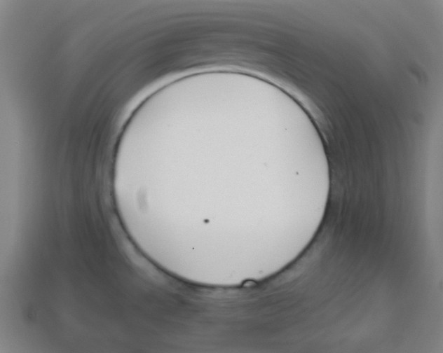 X0000113871534200910221324