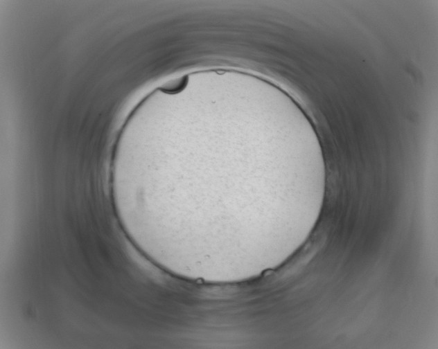 X0000113871535200910221324