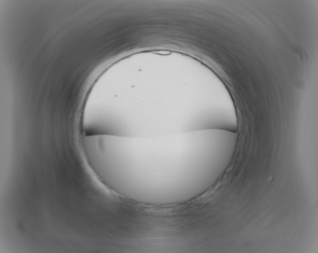 X0000113871536200910221324