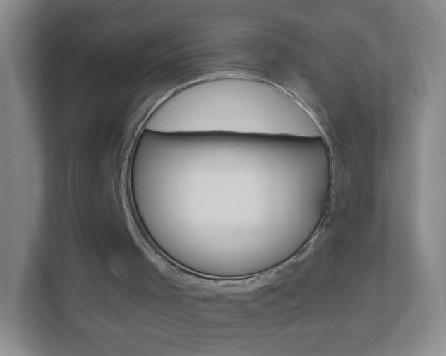 X0000113880001200909241036