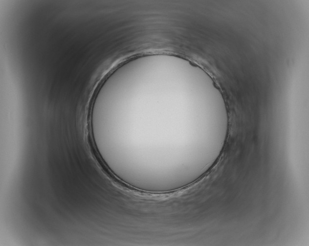 X0000113880002200909241036