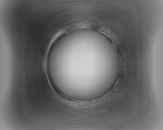 X0000113880003200909241036