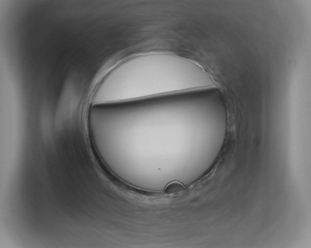 X0000113880004200909241036