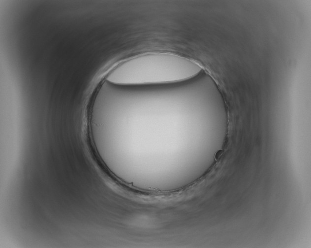 X0000113880005200909241036