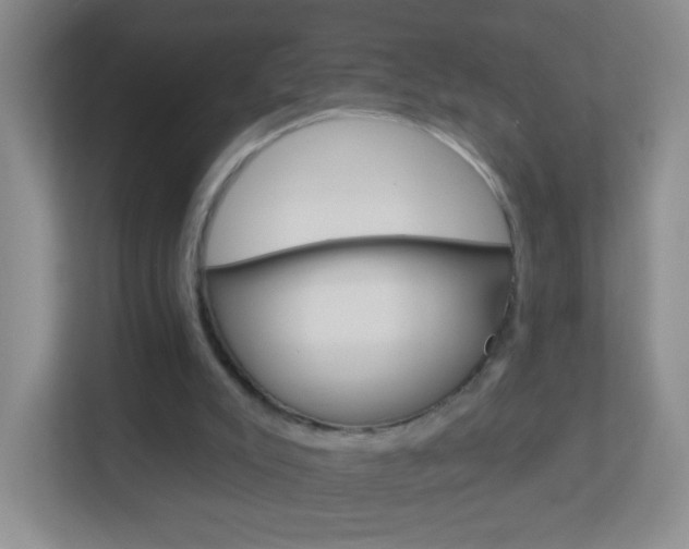 X0000113880007200909241036